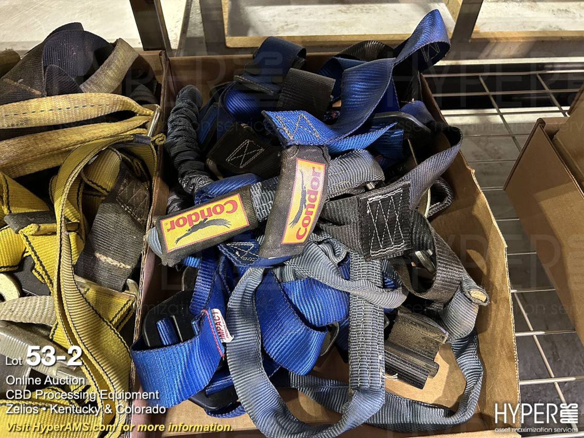 Lot - Safety Harnesses in (3) Boxes - Image 2 of 4