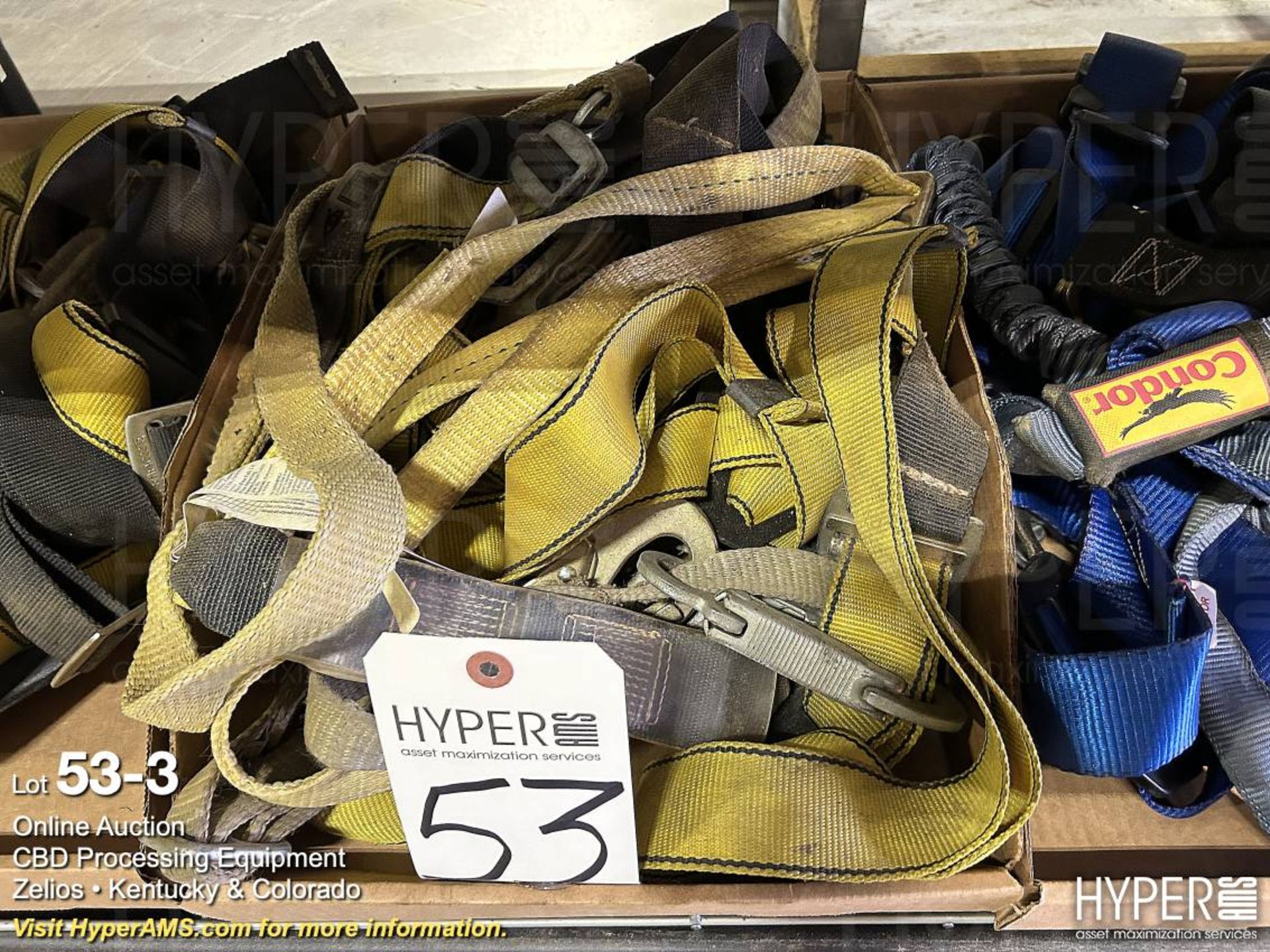 Lot - Safety Harnesses in (3) Boxes - Image 3 of 4