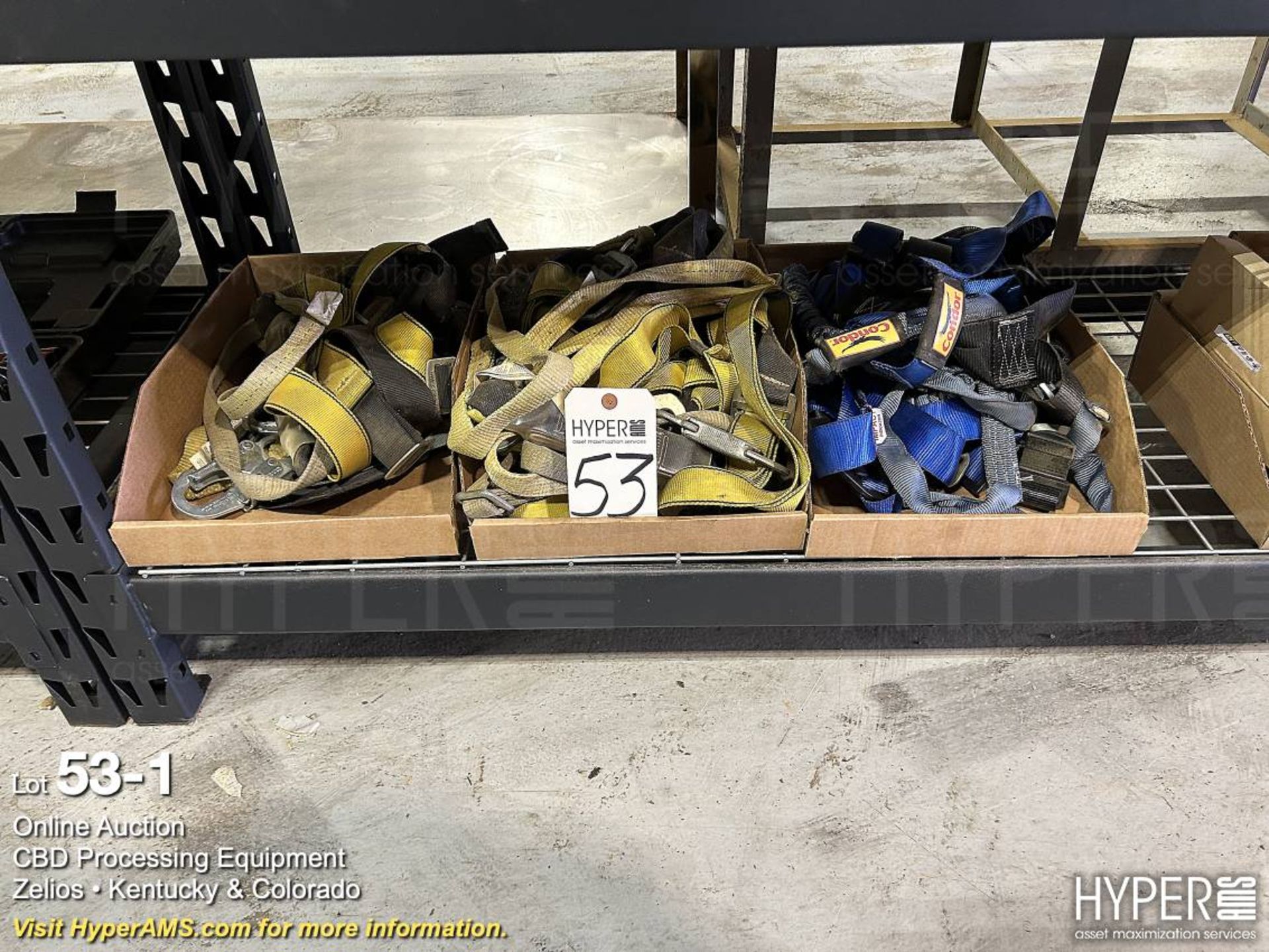 Lot - Safety Harnesses in (3) Boxes