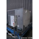 BlueRidge Package Cooling Unit