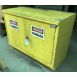 2 Dr. 47"L x 23"W x 36"H Flammable Safety Cabinet