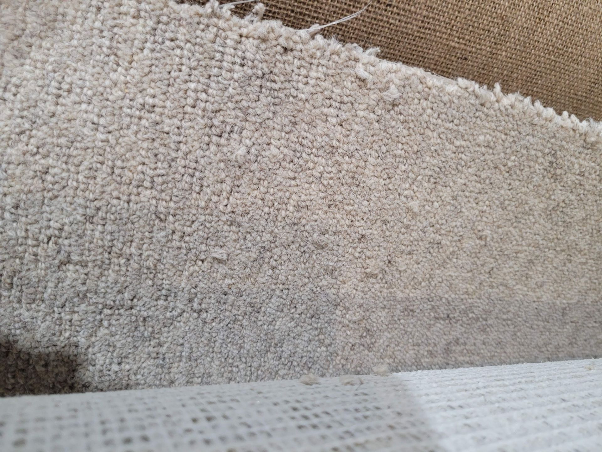 LOT - ASSORTED ROLLS OF BROADLOOM VARIOUS SIZES AND STYLES - Image 17 of 22