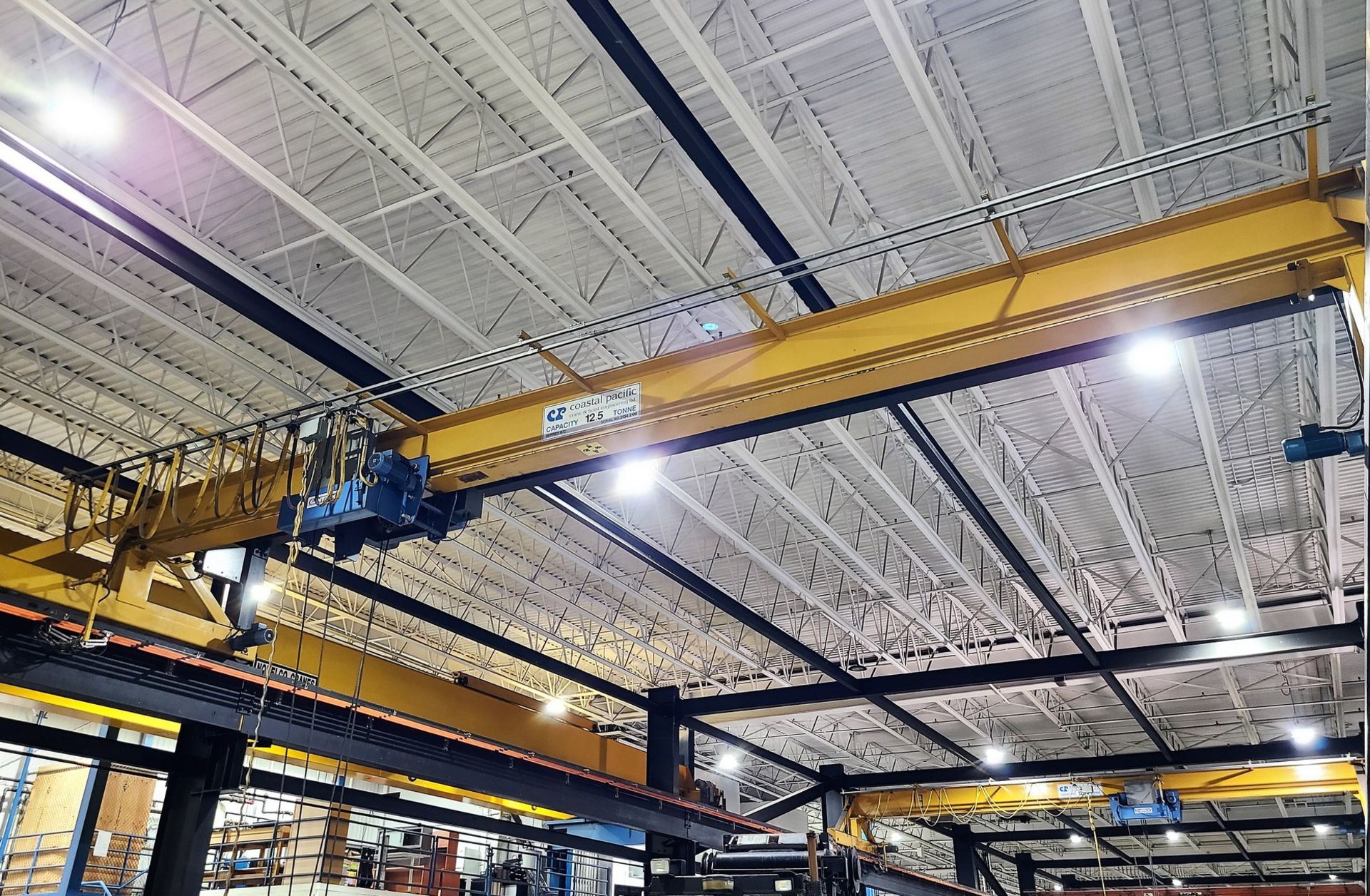 BULK BID - (ENBLOC) COASTAL PACIFIC FREE STANDING OVERHEAD CRANE SYSTEM - LOTS 200-203 INCLUSIVE ( - Image 6 of 17