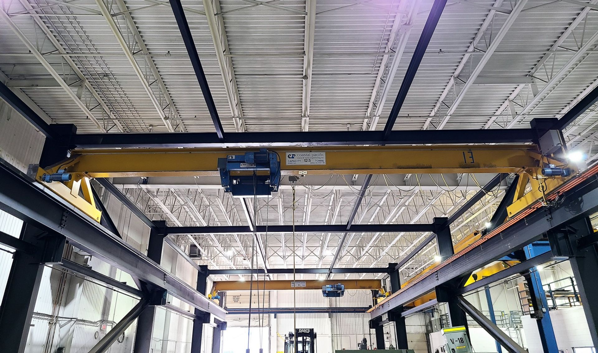 BULK BID - (ENBLOC) COASTAL PACIFIC FREE STANDING OVERHEAD CRANE SYSTEM - LOTS 200-203 INCLUSIVE (