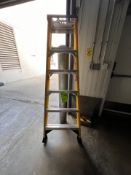 INDUSTRIAL PERFORMANCE 6 FT LADDER (RIGGING & SIMPLE LOADING FEE $10.00) (NOTE: DOES NOT INCLUDE