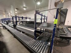 (2) UNEX SPAN TRACK PRODUCT PACK-OFF RACKS, WITH ROLLER CONVEYOR, INCLUDES SINGLE DOOR CONTROL PANEL