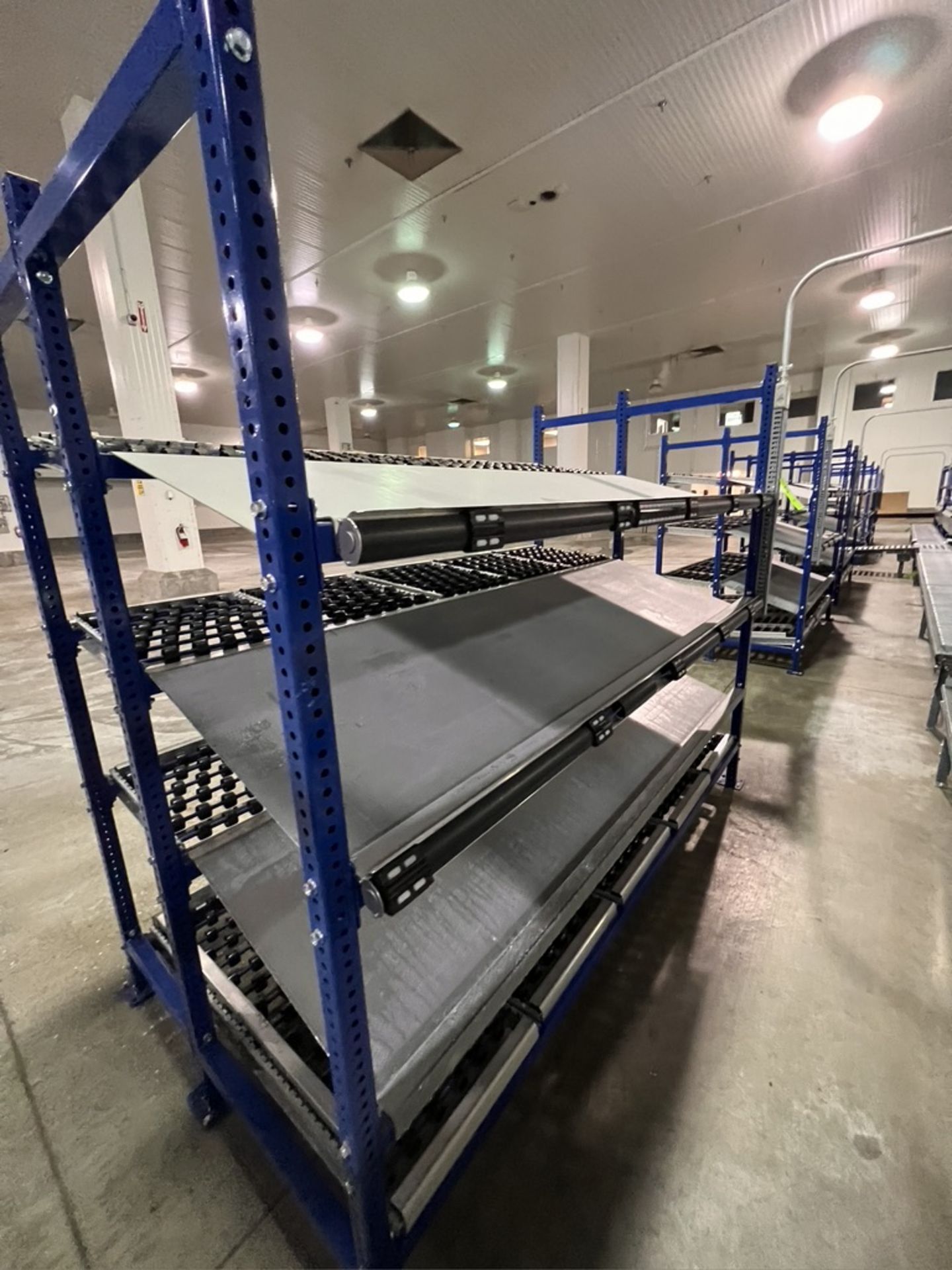 (4) UNEX SPAN TRACK PRODUCT PACK-OFF RACKS, WITH ROLLER CONVEYOR (SUBJECT TO BULK BID IN LOT 11A) - Image 4 of 6