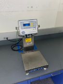 Fairbanks S/S Digital Platform Scale, with Digital Read Out (LOCATED IN LOS ANGELES, CA) (RIGGING,