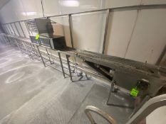 Straight Section of Case Conveyor, with Plastic Chain, Mounted on S/S Frame (LOCATED IN LOS ANGELES,