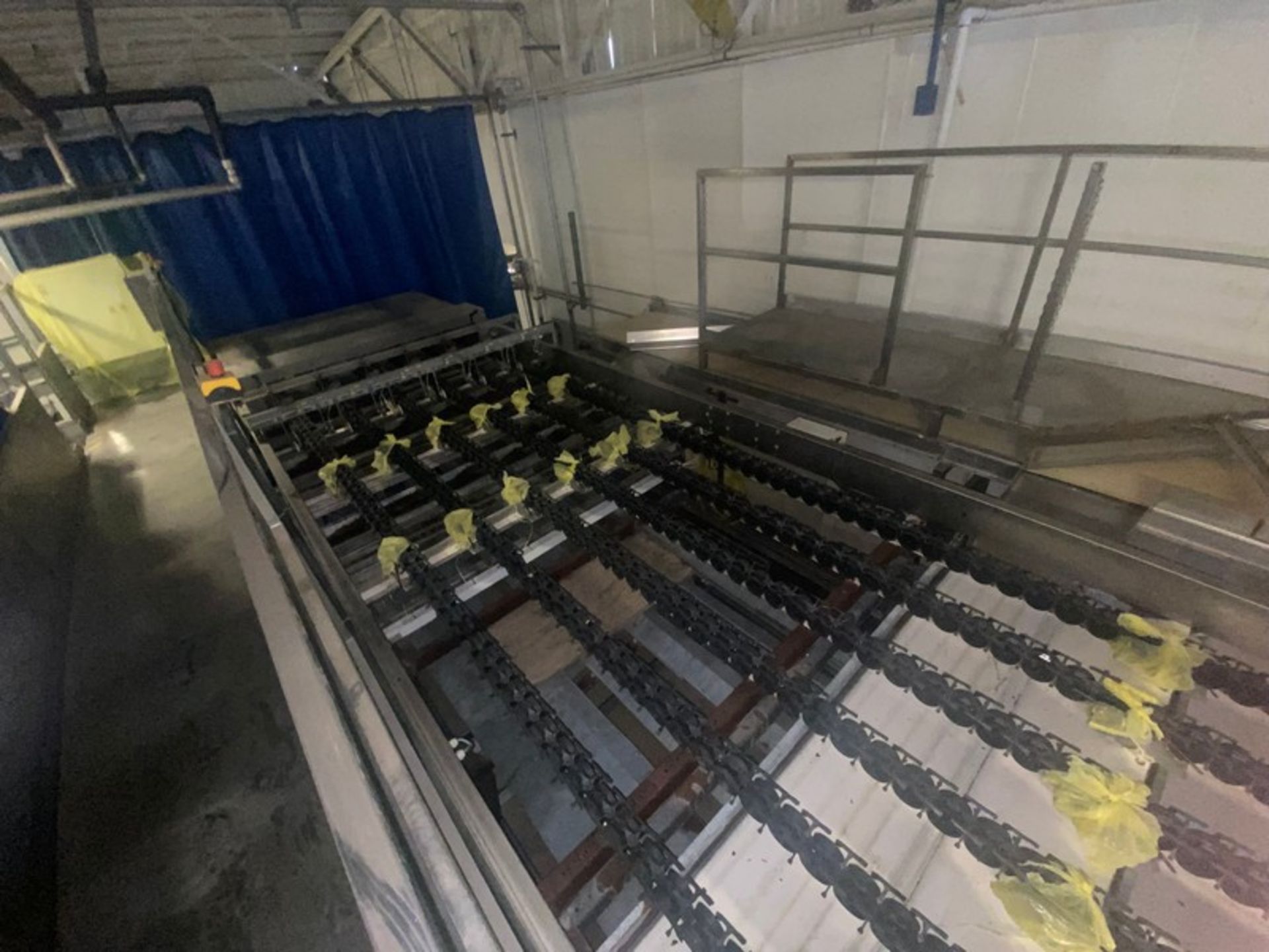 Aweta Sorting Conveyor, Overall Length: Aprox. 65 ft. L, Mounted on S/S Frame (LOCATED IN ATWATER, - Bild 2 aus 14