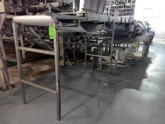 Straight Section of S/S Distribution Conveyor, Aprox. 40 ft. L with Aprox. 35-1/2” W Belt, Mounted