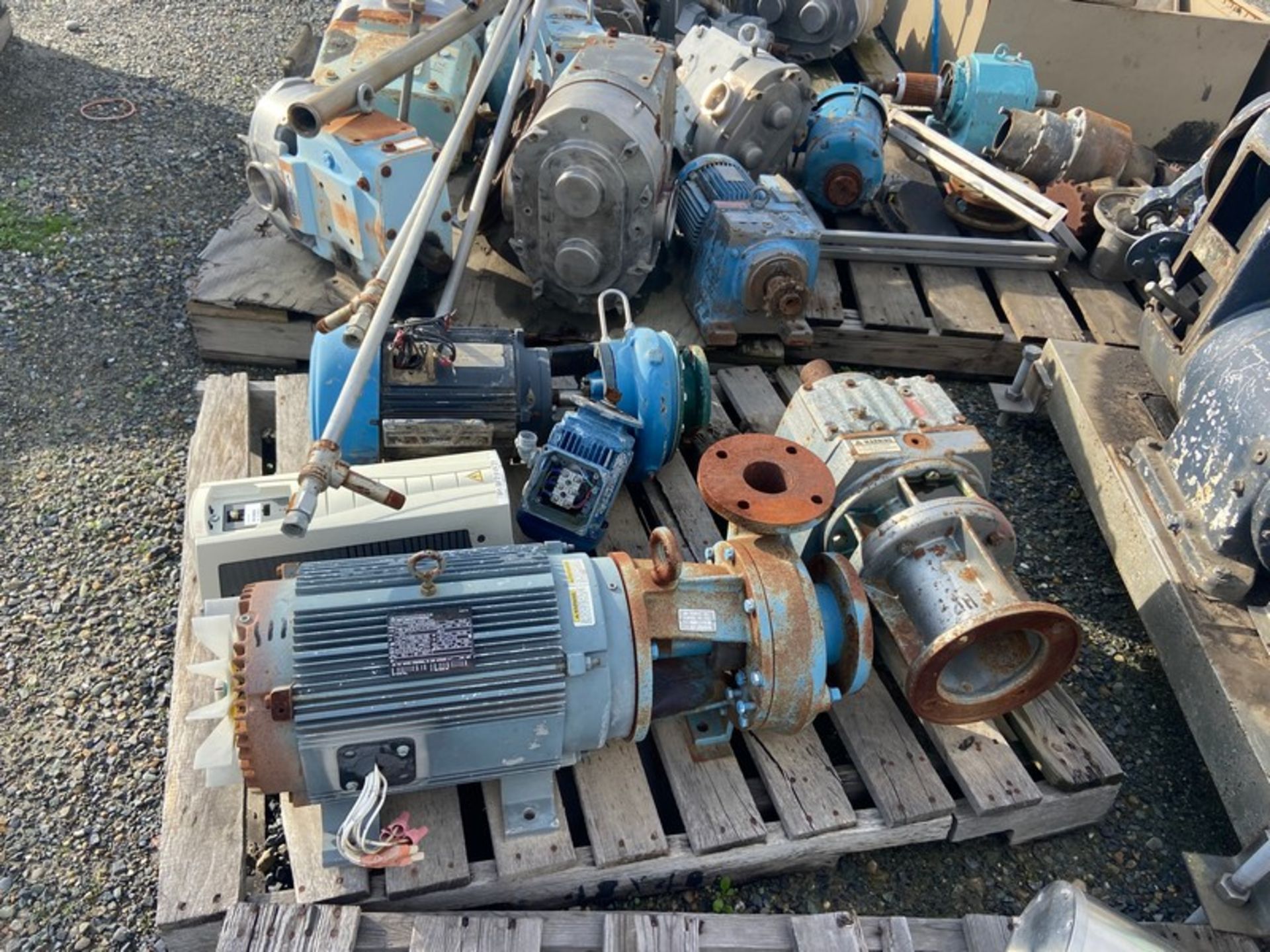 Large Assortment of Positive Displacement Pumps, Pump Heads, & Motors (LOCATED IN ATWATER, CA) - Image 4 of 10