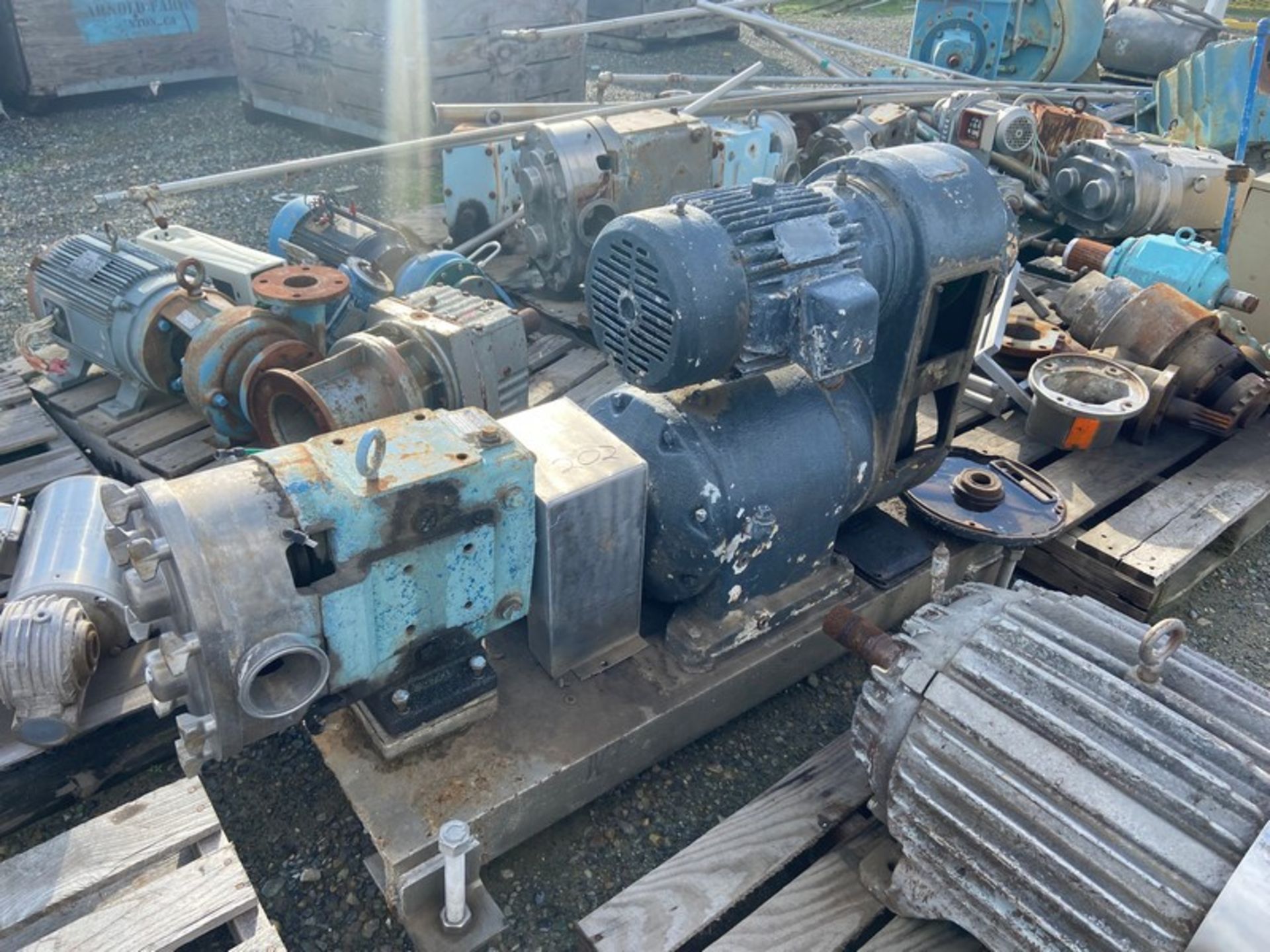 Large Assortment of Positive Displacement Pumps, Pump Heads, & Motors (LOCATED IN ATWATER, CA)