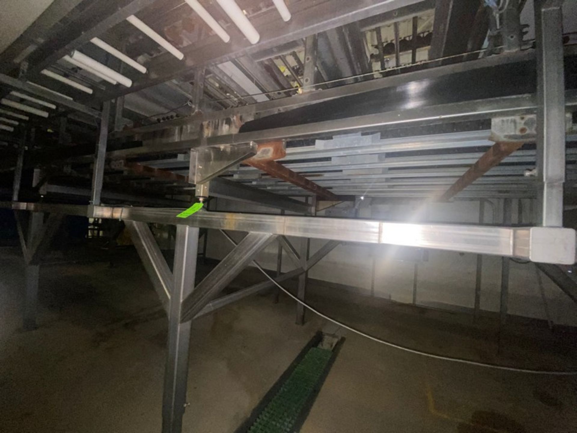 Aweta Sorting Conveyor, Overall Length: Aprox. 65 ft. L, Mounted on S/S Frame (LOCATED IN ATWATER, - Bild 11 aus 14