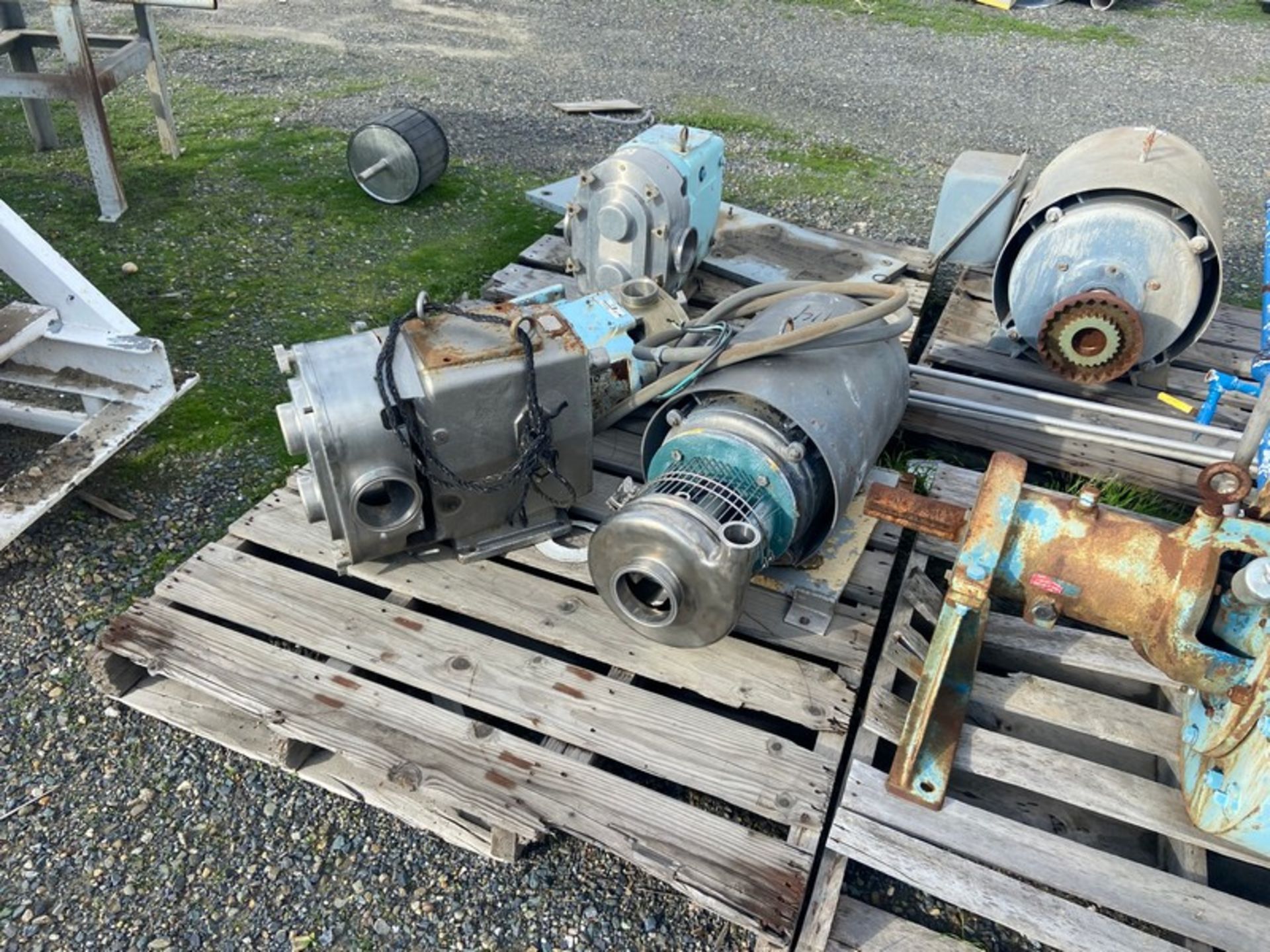 Large Assortment of Positive Displacement Pumps, Pump Heads, & Motors (LOCATED IN ATWATER, CA) - Image 9 of 10