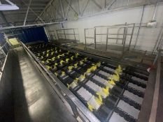 Aweta Sorting Conveyor, Overall Length: Aprox. 65 ft. L, Mounted on S/S Frame (LOCATED IN ATWATER,