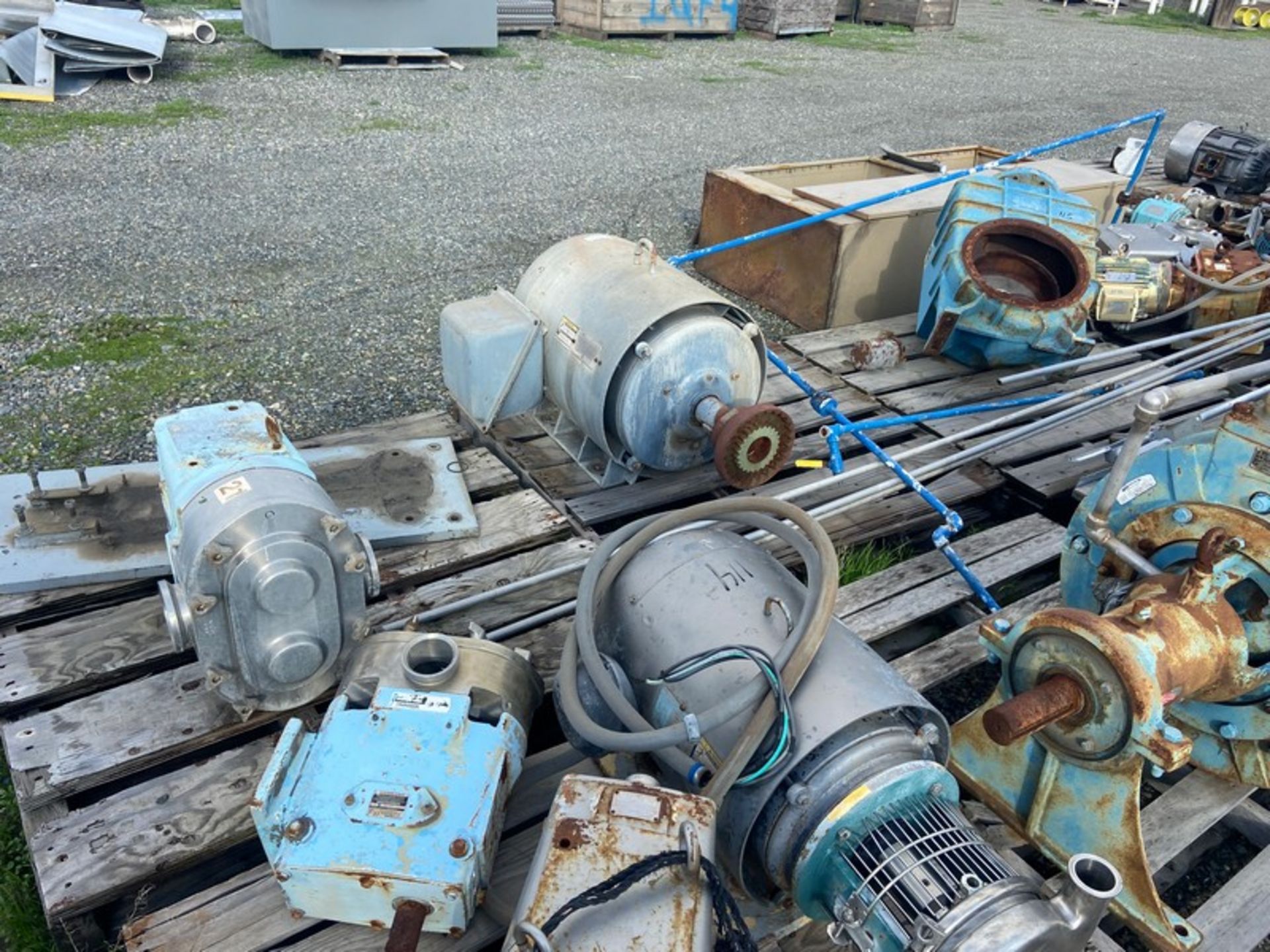 Large Assortment of Positive Displacement Pumps, Pump Heads, & Motors (LOCATED IN ATWATER, CA) - Image 10 of 10