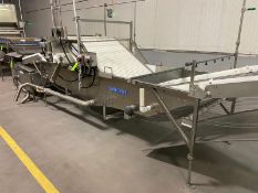 Lakewood Process Machinery S/S Skimmer Conveyor, M/N 13153-02, S/N 14-05433, with Aprox. 42” W S/S