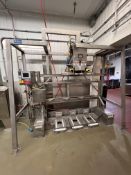 CVP SYSTEMS BAG FILLER / SEALER WITH 3-STATION MARCHANT SCHMIDT / METTLER TOLEDO SCALE SYSTEM, MS