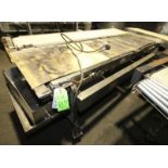 BMI 9 ft L x 24" W x 36" H S/S Conveyor with Drive & VFD, Mounted on Casters(INV#65751) (Located