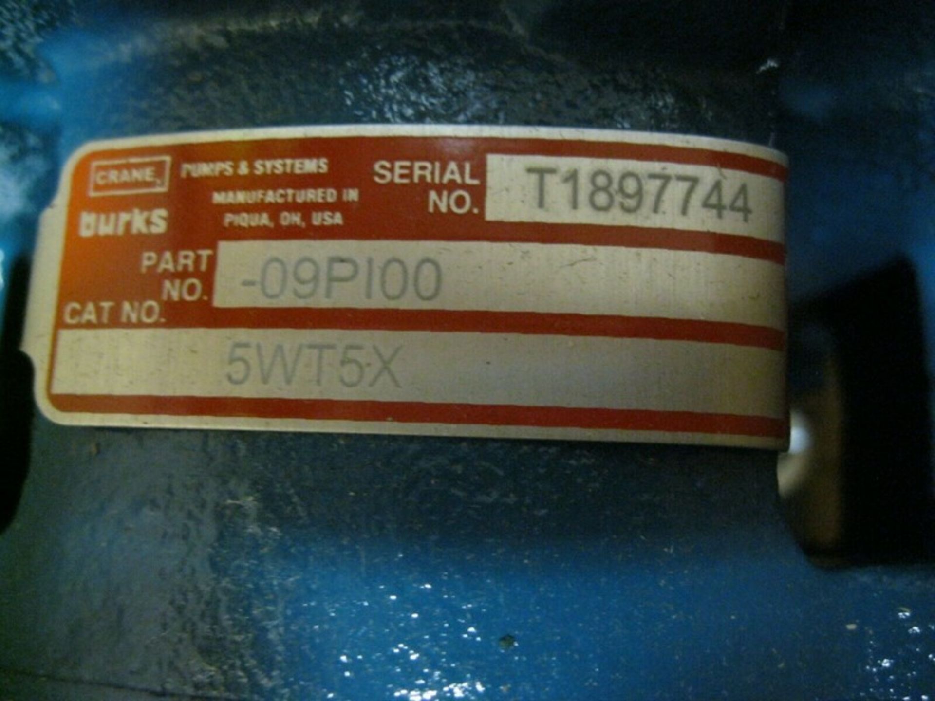 2" Crane Burks 5WT5X -09PI00 Self-Priming Centrifugal Pump 1/2 HP NEW (Located Springfield, NH)( - Image 6 of 8