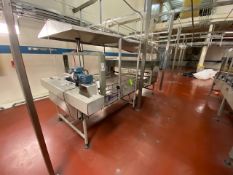 Ideas-In-Motion Semi-Automatic Debagging Table, S/N 30023, with Allen-Bradley MicroLogix 1000,