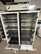 Erlab Captair Store Double Chemical Cabinet AVPS 804 (LOCATED IN MIDDLETOWN, N.Y.)-FOR PACKAGING &