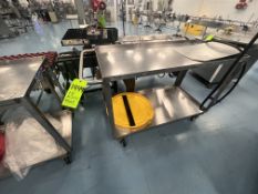 (2) S/S PUSH CARTS, APPROX. 48 IN. X 24 IN.