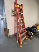 WERNER AND LOUISVILLE LADDERS