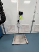 Mettler Toledo SS Floor Scale (Pre-Weigh Ste 6)