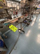 STRAIGHT CONVEYOR SECTION, APPROX. 20 FT. L X 4-1/2 IN. W