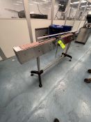 GLOBALTEK STRAIGHT CONVEYOR SECTION, APPROX. 179 IN. L X 4 IN. W