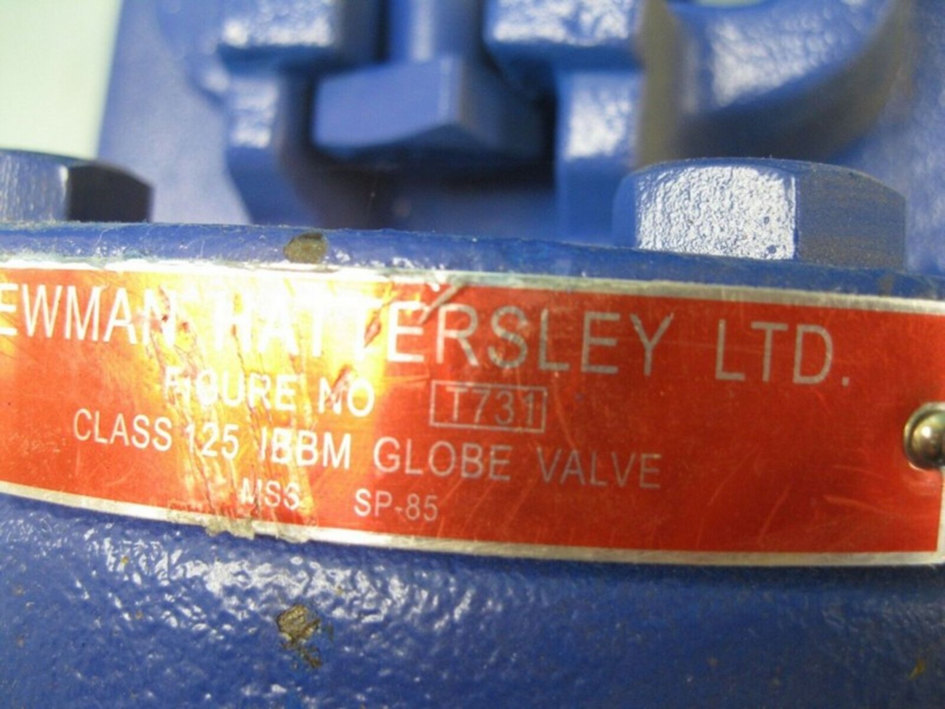 4" 125# Newman Hattersley T731 Flanged IBBM Globe Valve NEW (NOTE: Packing and Palletizing Can Be - Image 2 of 3