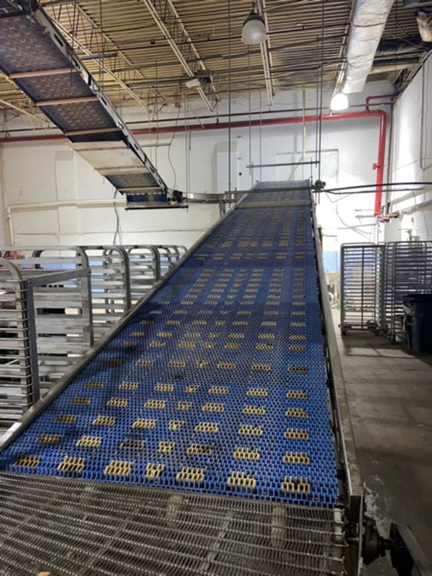 Suspended Product Conveyor, with Aprox. 42" W Plastic Interlock Belt, with 1-Section of 180 Degree - Image 2 of 9