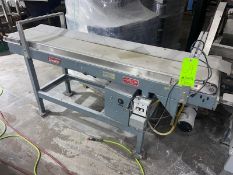 Shanklin Straight Section of Conveyor, M/N C0122B, S/N F9581, Mounted on Mild Steel Legs (LOCATED IN