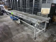Straight Section of S/S Mesh Conveyor, with Aprox. 24" W Belt (LOCATED IN HILLSIDE, N.J.)