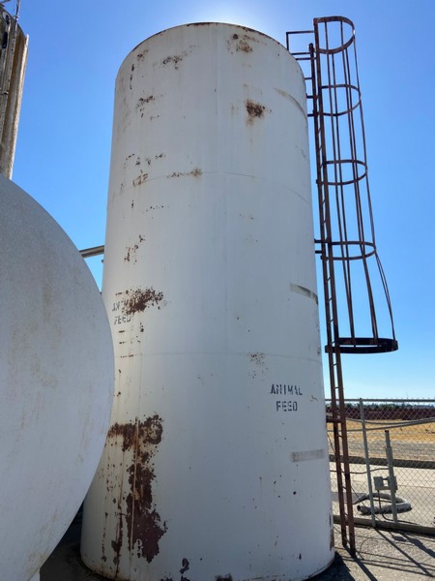 Vertical Animal Feed Tank, Tank Dims.: Aprox. 258” Tall x 112” Dia., with Man Ladder (LOCATED IN