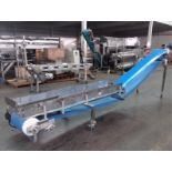 Econo Chesse Corp. 16" W x 189" L S/S Sanitary Incline Blue Belt Conveyor, S/N SS 102612 with 16"
