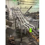 STAINLESS STEEL INCLINE CONVEYOR WITH DRIVE (MISSING BELT)
