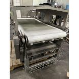 STRAIGHT SECTION OF PRODUCT CONVEYOR WITH 24 IN W PLASTIC BELT INCLUDES S/S HOOD AND FRAME