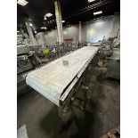 STRAIGHT SECTION CONVEYOR WITH DRIVE 30 IN W BELT