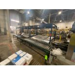 Straight Section of Roller Conveyor, with (3) Sections of Can Transfer Stations (LOCATED IN