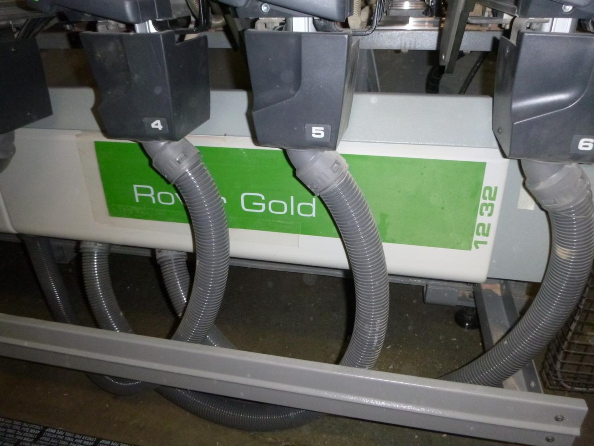 Biesse rover gold