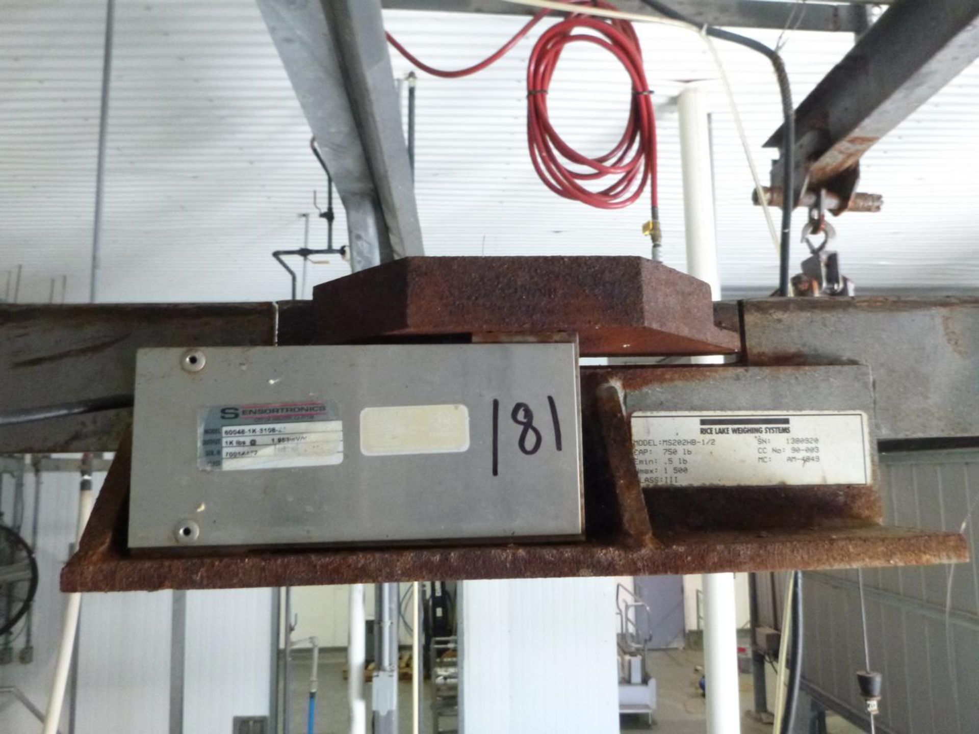 Rice Lake Load cell conveyor scale - Image 2 of 2