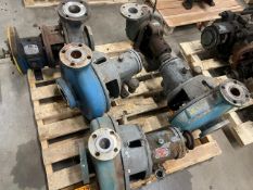 SKID OF (5) STAINLESS STEEL GOULDS AND SUMMIT PUMPS