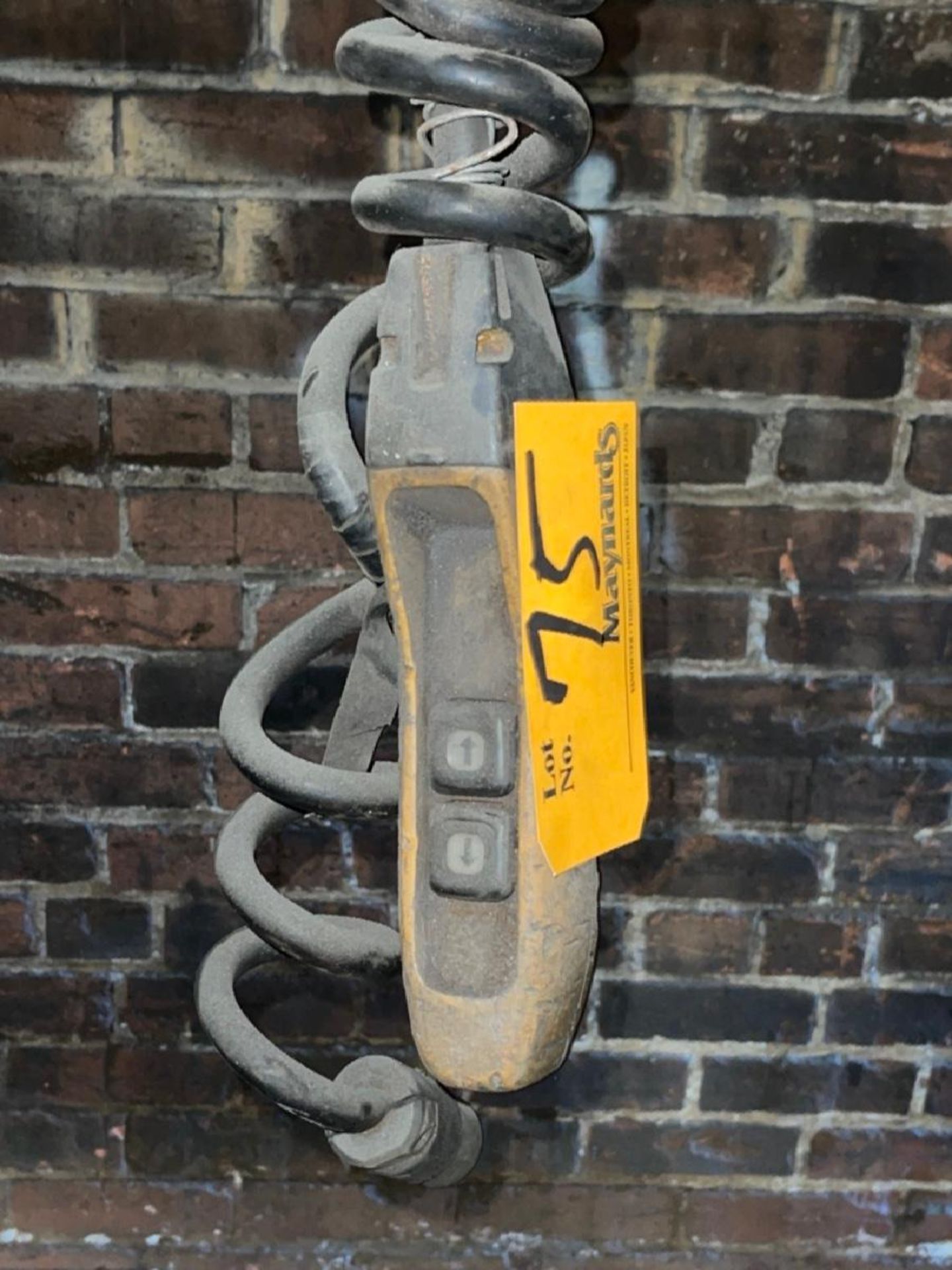 Electric Chain Hoists - Image 5 of 5