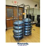 BOSU (12) Balance Trainers and Storage Cart