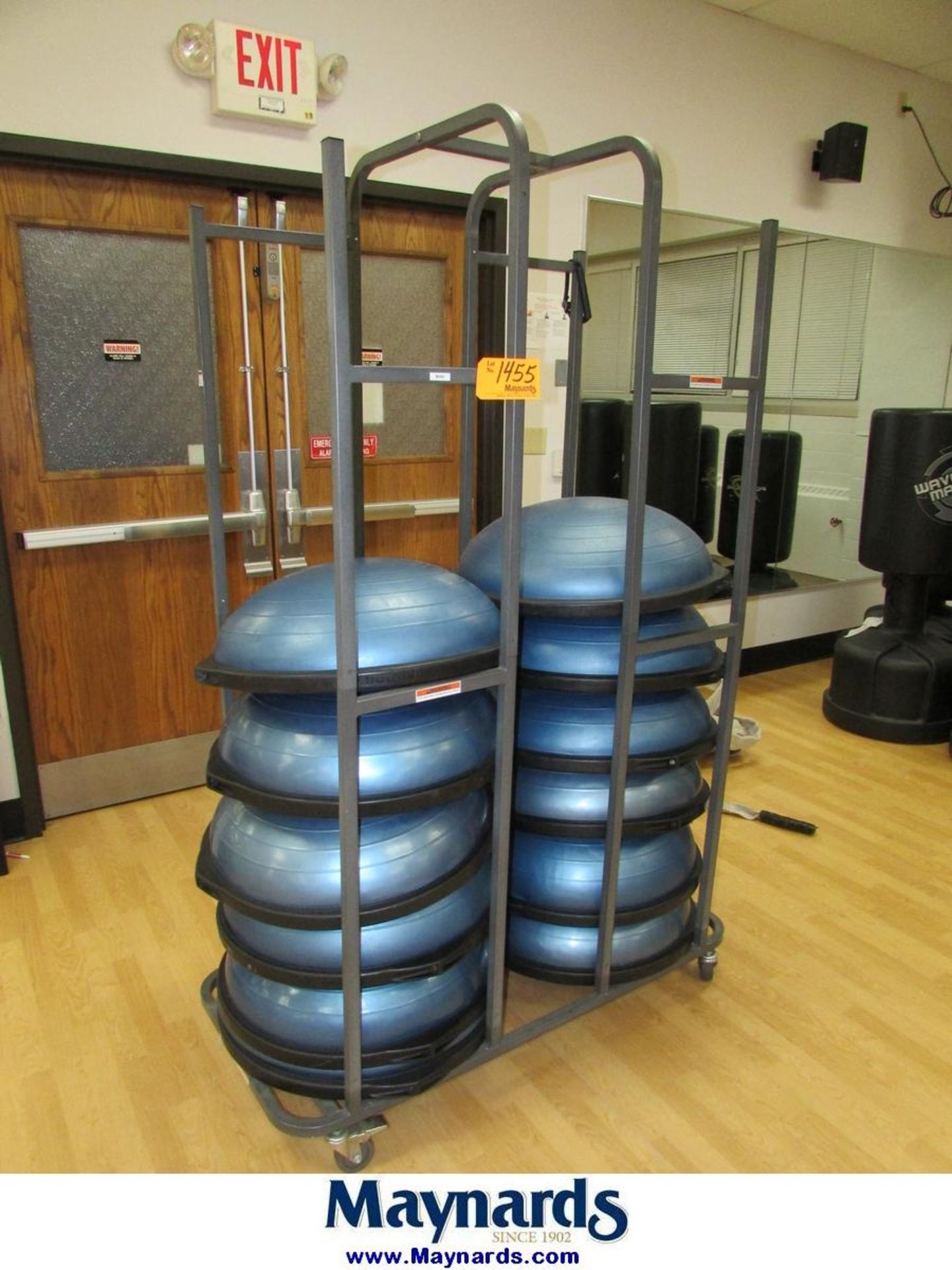 BOSU (12) Balance Trainers and Storage Cart