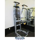 2014 Matrix 150-Lb. Dip/Chin Assist Exercise Machine