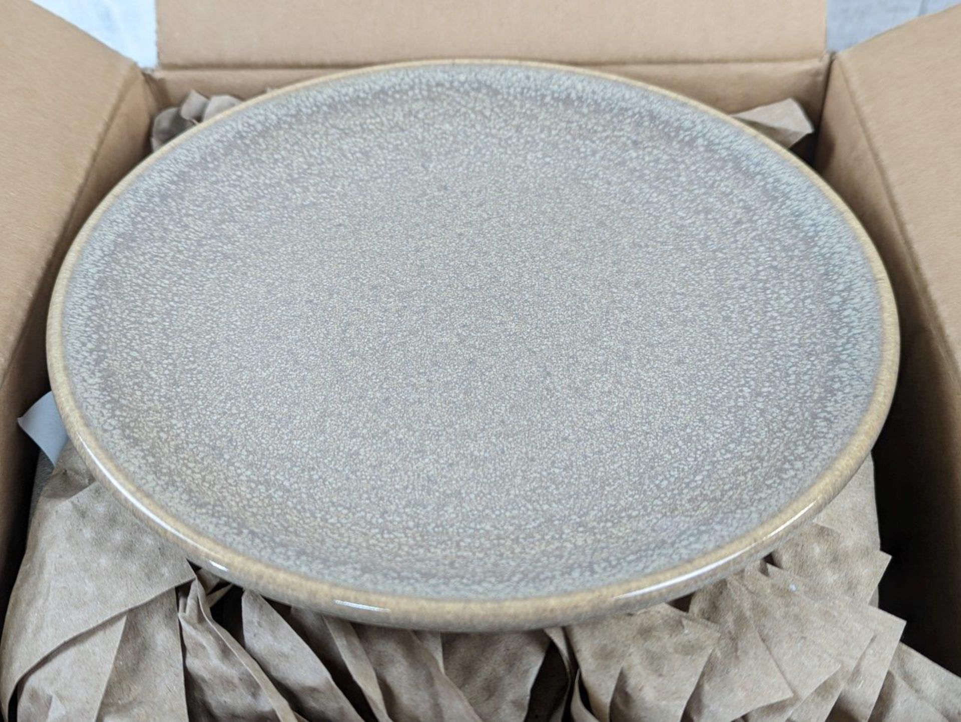 DUDSON EVO GRANITE 8-1/8" COUPE PLATES - LOT OF 24 - Image 4 of 5